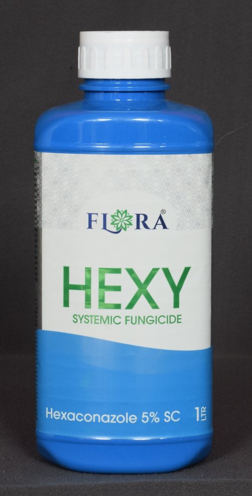 HEXY