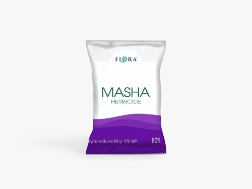 MASHA