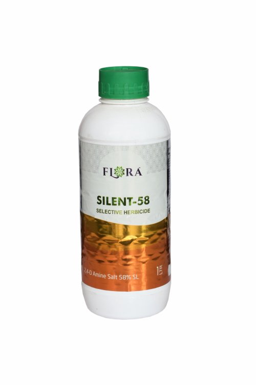SILENT-58
