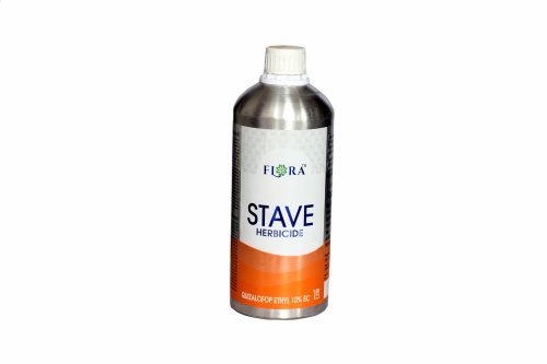 STAVE